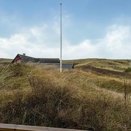 Pet Friendly In Hvide Sande