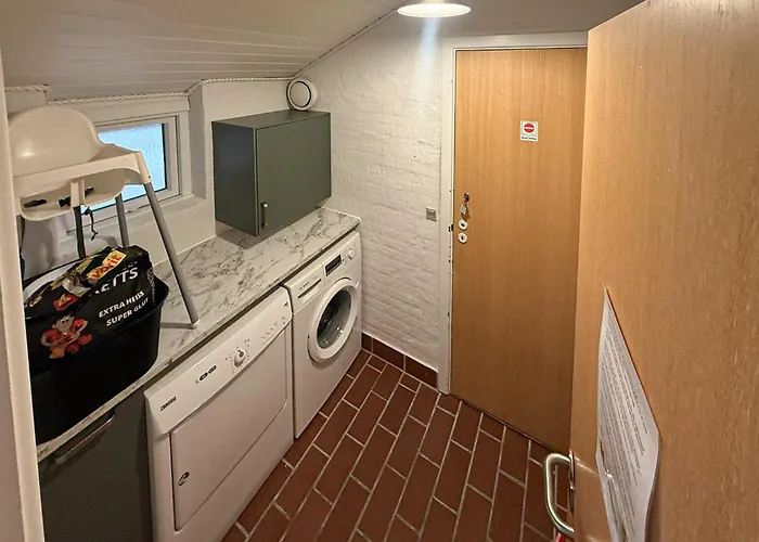 Pet Friendly In * Hvide Sande