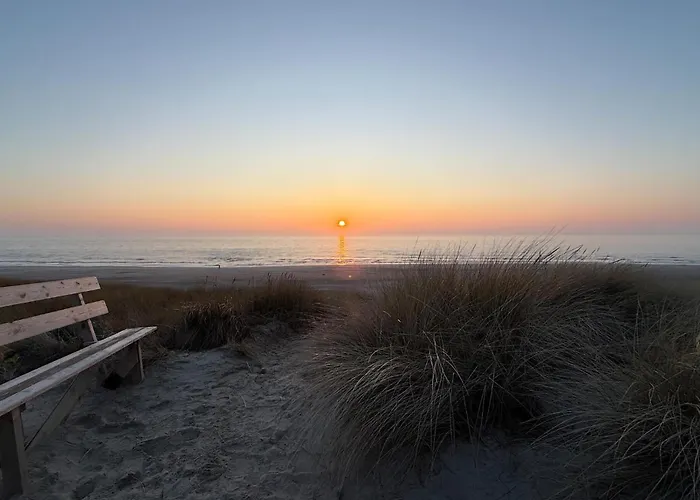 Pet Friendly In Hvide Sande